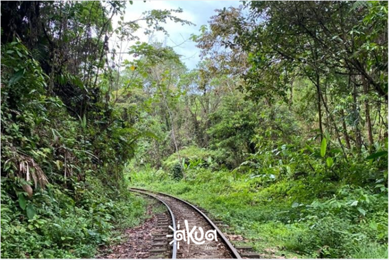 RESERVA NATURAL SAN CIPRIANO