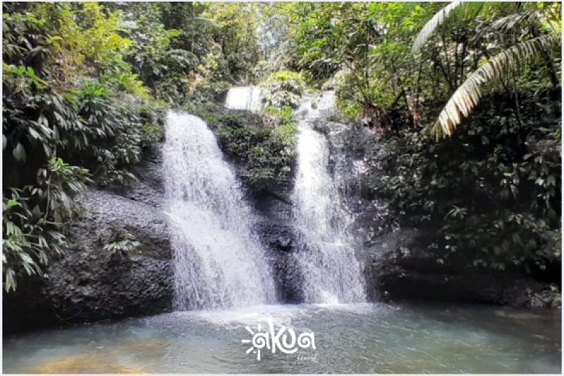 TOUR RESERVA NATURAL VENADO VERDE