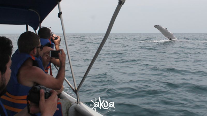 PLAYA DE ORO - BALLENAS A LA VISTA 4D3N