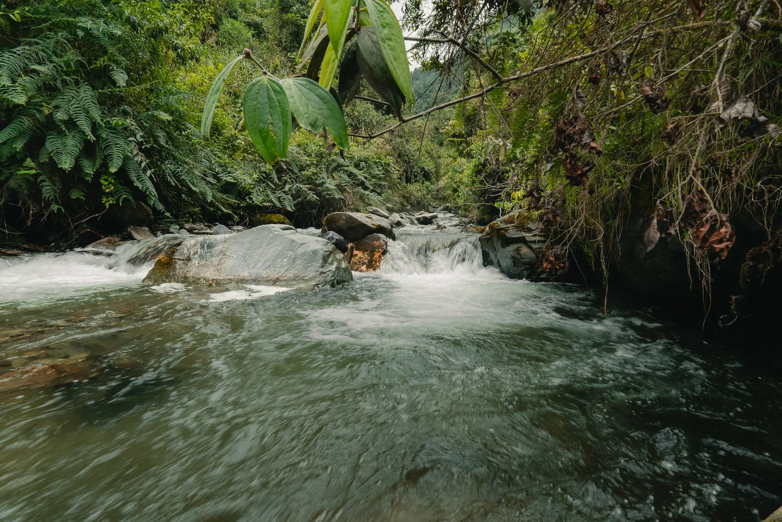 Galería El Nido del Cóndor Ecolodge