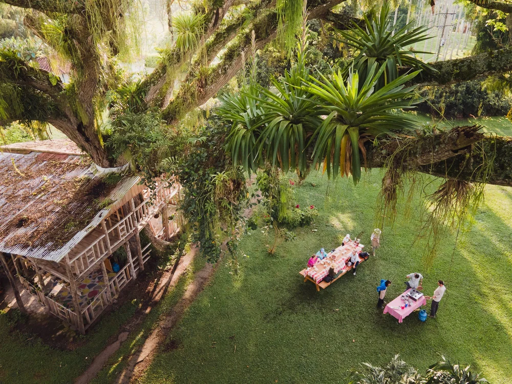 Galería Hacienda BAMBUSA