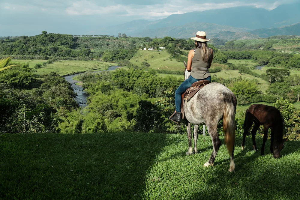 Galería Hacienda BAMBUSA