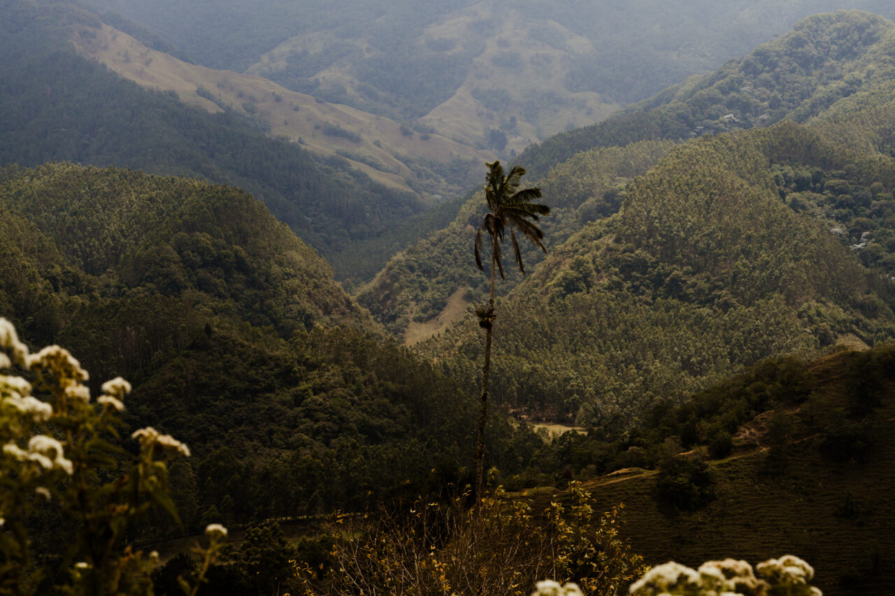 Galería Hotel Boutique SAZAGUA - Cocora