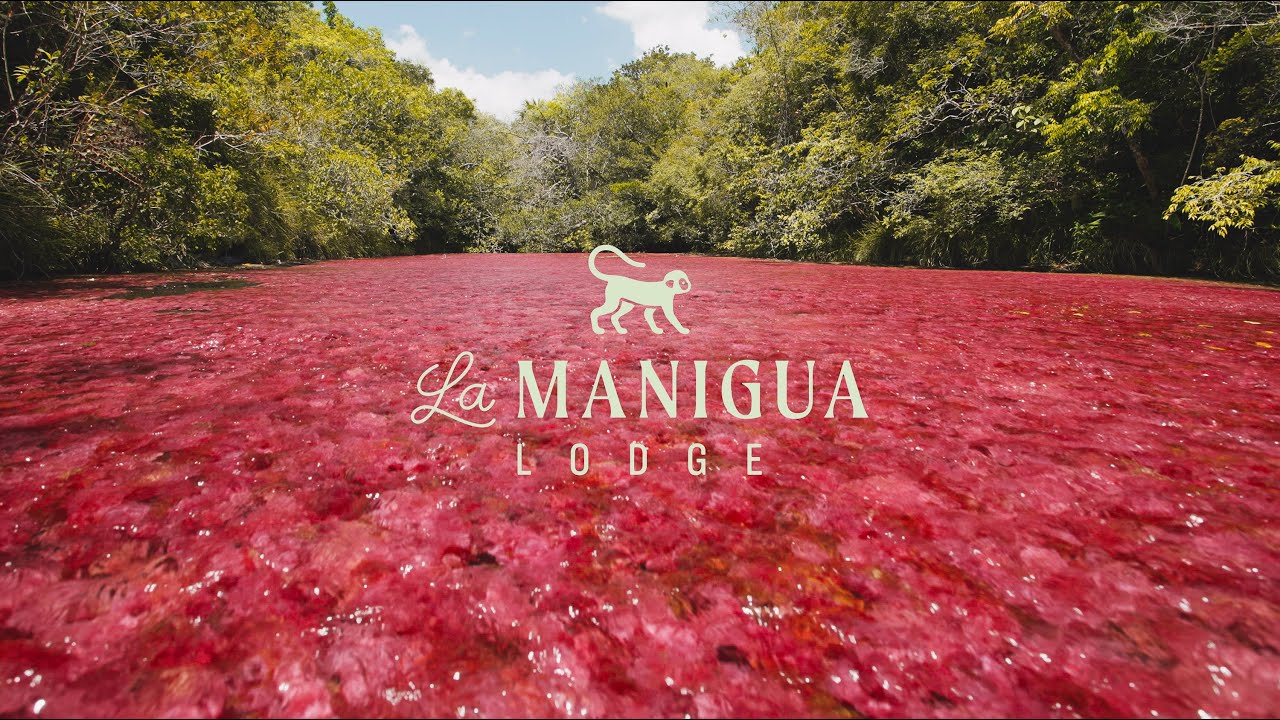 La Manigua LODGE