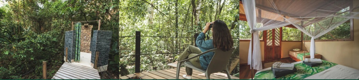 Galería La Manigua LODGE