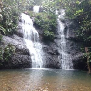 Tour reserva natural Venado Verde