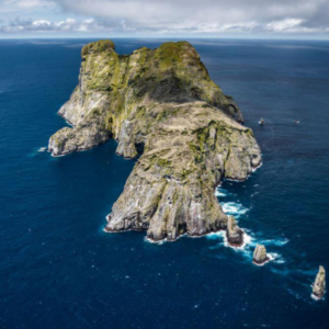 PLAN BUCEO – ISLA MALPELO